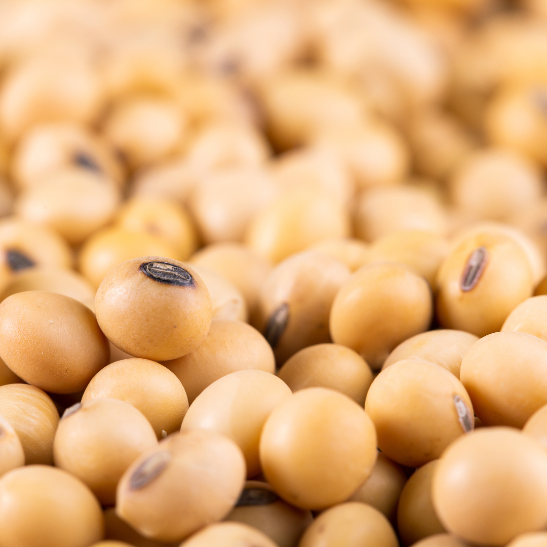 Soybeans